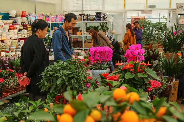 【第一眼】春意濃 花俏俏 你家的春來來了嗎？