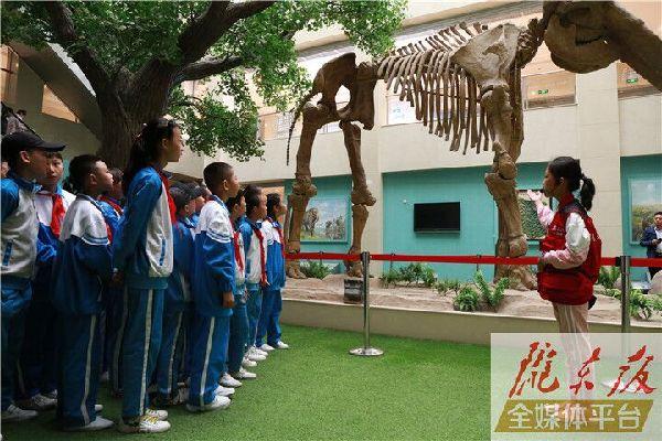 【第一眼】慶陽市博物館開展多項(xiàng)活動(dòng)慶?！?·18國(guó)際博物館日”