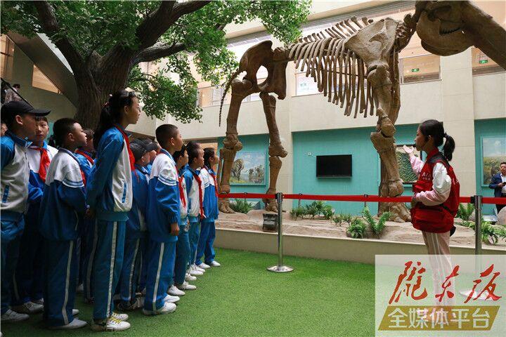 【第一眼】慶陽市博物館開展多項(xiàng)活動慶祝“5·18國際博物館日”