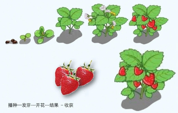 【防疫科普】如何利用園藝療法保持復(fù)工后身心健康？