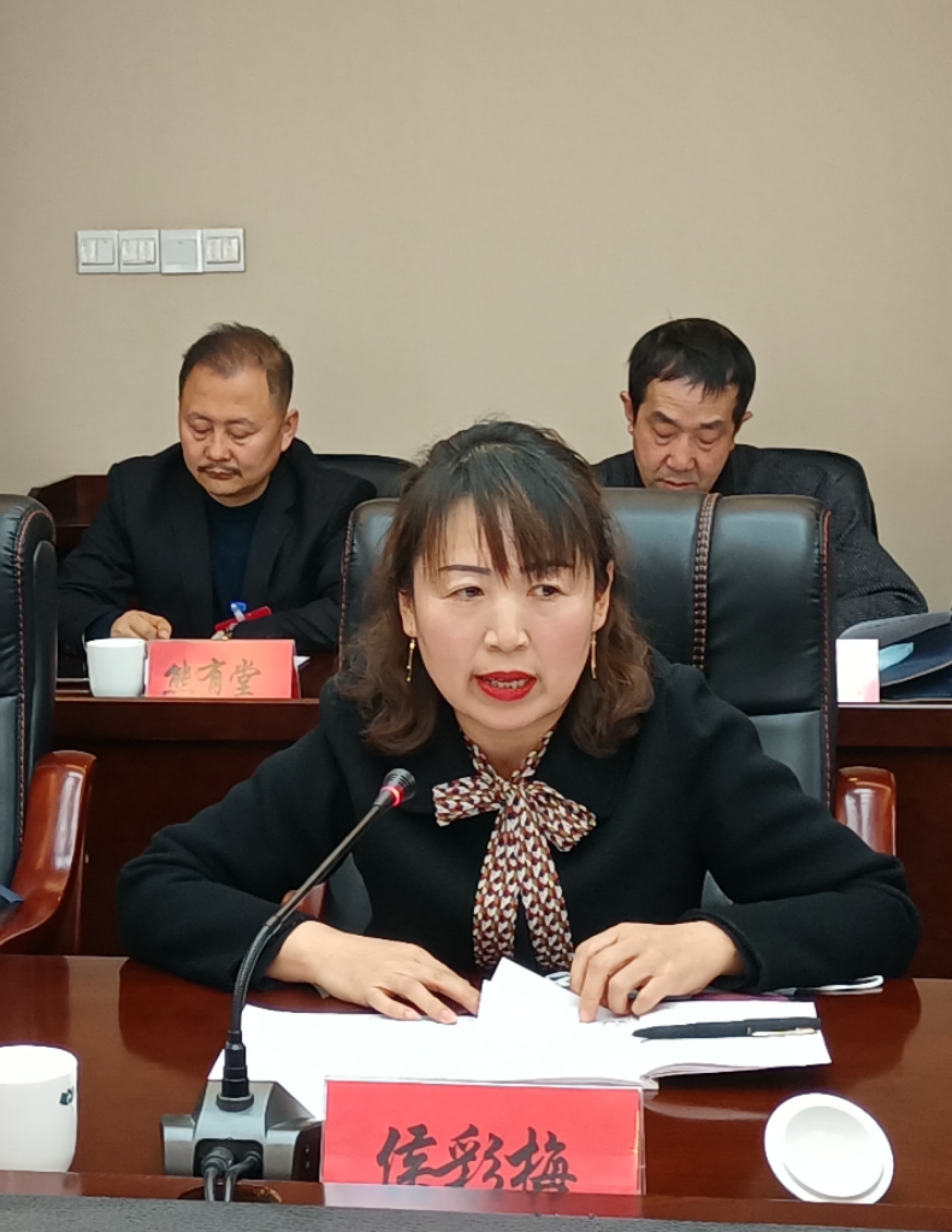 侯彩梅委員在討論發(fā)言時就規(guī)范農(nóng)村中小學(xué)體育教學(xué)提出了建議。
