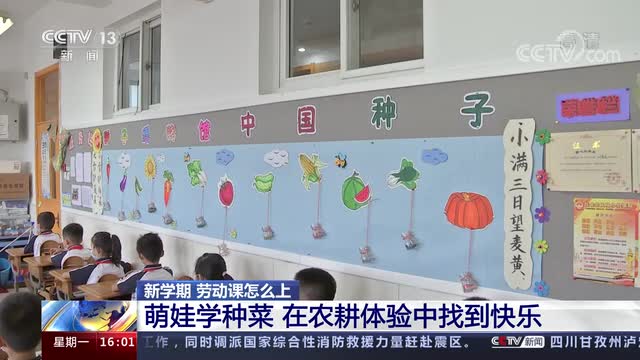 新學(xué)期，勞動課怎么上？央視《新聞直播間》關(guān)注北師大慶陽附校農(nóng)耕體驗課