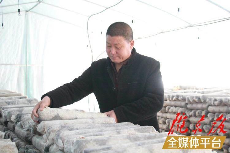 西峰區(qū)后官寨鎮(zhèn)司官寨村食用菌基地，工作人員在整理菌棒。本報記者 南力 攝