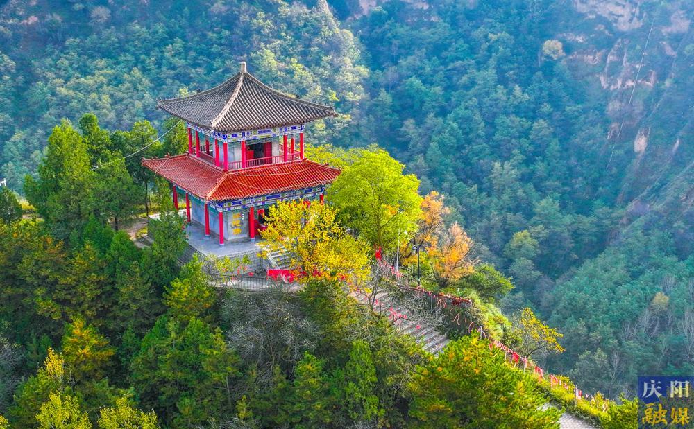 【攝影報道】天涼好個秋！一年一度醉人秋景如約而至