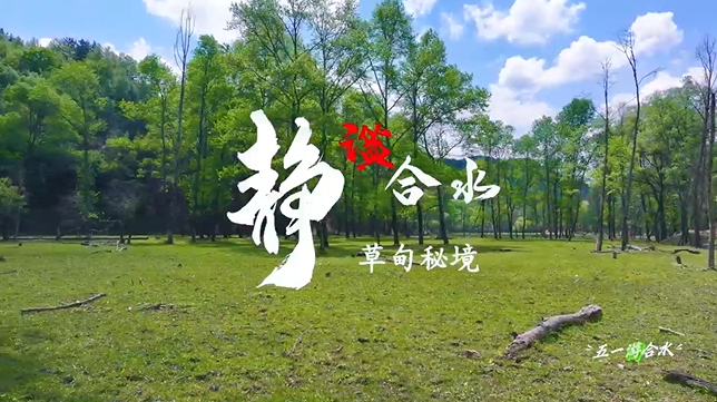 【五一游慶陽(yáng)】靜謐合水︱合水縣太莪鄉(xiāng)草甸秘境等你來(lái)打卡！