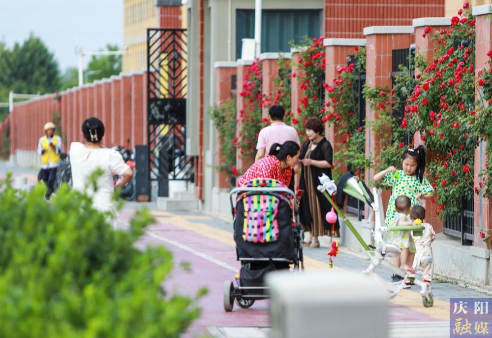 【攝影報道】薔薇花開！邂逅夏日的浪漫